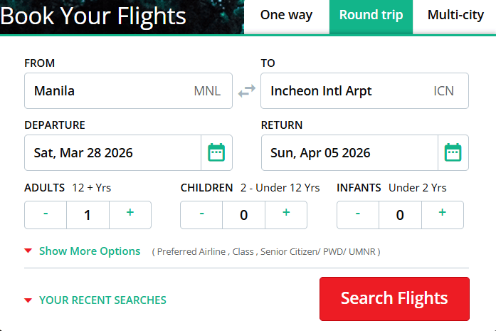 Travel booking portal flight search interface