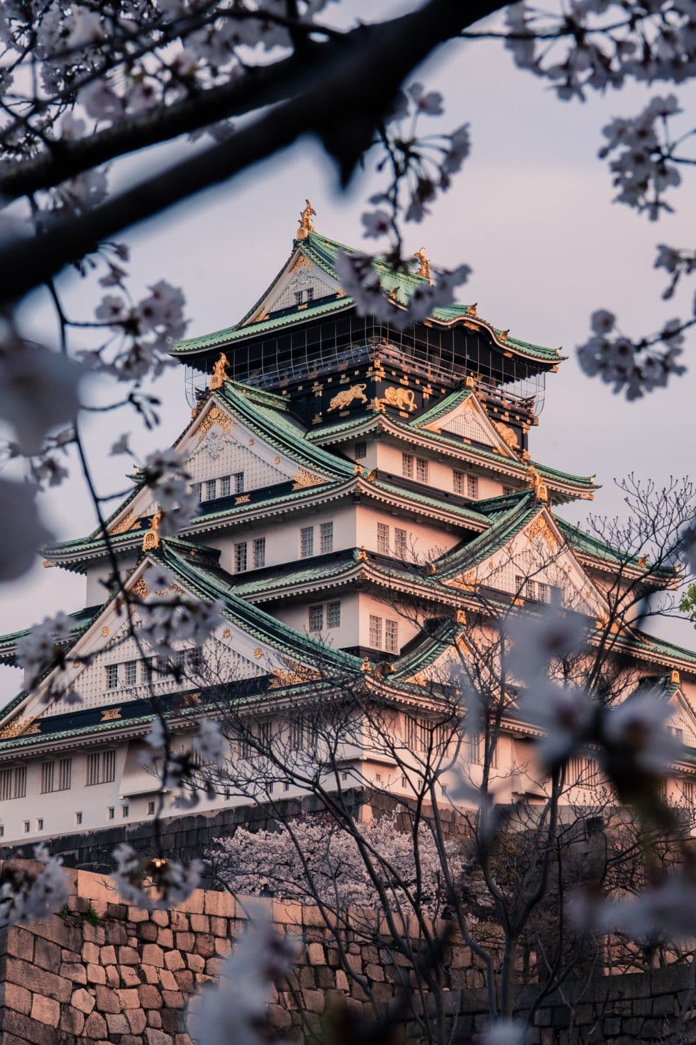 International destination package preview